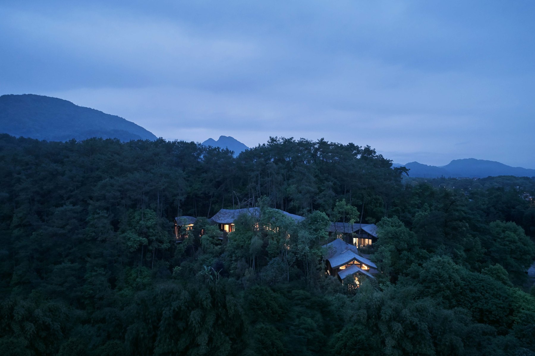 Banyan Tree Mount Emei among trees and mountain scenery